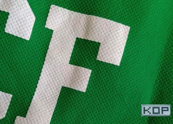 Холстина Eco-Растворителя краски пигмента NON-Weave полиэфира напечатанная чернилами штейновая